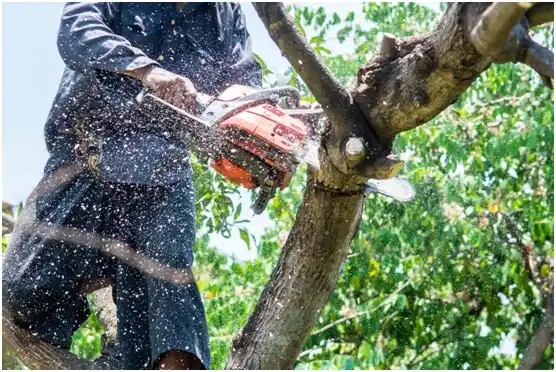 tree services Hildale